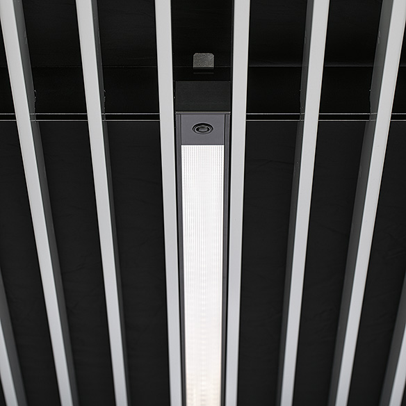 ZS_SUL_F_R_DI_MPO_BK